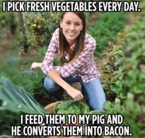vege z druhej ruky